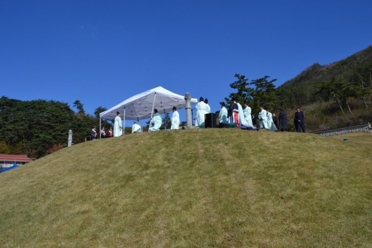 DSC_0372.jpg