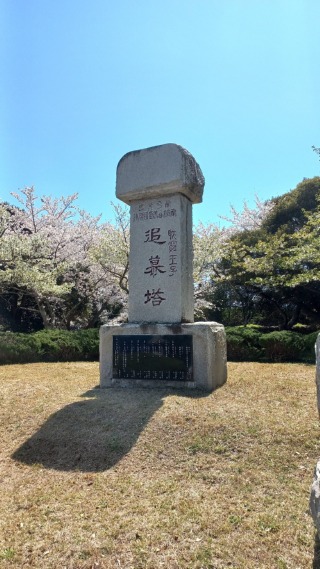 1743997006751-2.jpg